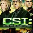 C.S.I.: Kriminálka Las Vegas