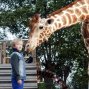 Moje žirafa (2017) - Dikkertje Dap