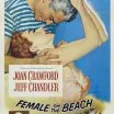 Female on the Beach (1955)