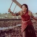 Matka Indie (1957) - Radha