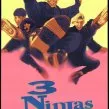 Traja nindžovia (1992)