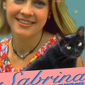 Sabrina, mladá čarodějnice (1996) - Sabrina Sawyer
