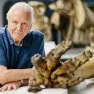 David Attenborough a legendární obří slon Jumbo (2017)