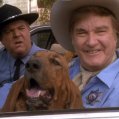 Dukes Of Hazzard: Reunion! (1997) - Deputy Cletus Hogg