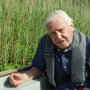 David Attenborough: Život v oblacích (2014)