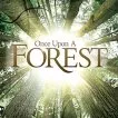 Tajemství lesa (2013)