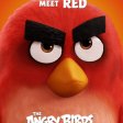 Angry Birds ve filmu (2016) - Red