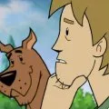Shaggy a Scooby-Doo na stopě (2006) - Shaggy