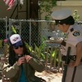 Reno 911! (2003-?) - Deputy Raineesha Williams