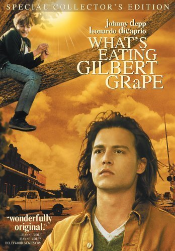 Johnny Depp (Gilbert Grape), Leonardo DiCaprio (Arnie Grape) zdroj: imdb.com