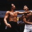 Dračí život Bruce Lee (1993) - Johnny Sun