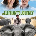 Dobrodružství v divočině 3: Sloní příběh (2017) - Phoenix Wilder