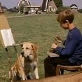 A Dog of Flanders (1959) - Nello Daas