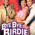 Bye Bye Birdie (1995)