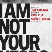 I Am Not Your Negro (2016)