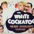 The White Cockatoo (1935)