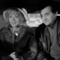 Jiřina Bohdalová (kadeřnice Lenka, Lojzova snoubenka), Jiří Sovák (montér Lojza Králů)