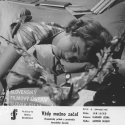 Vždy možno začať (1961) -  Valika Darajová
