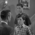 Leave It to Beaver (1957) - Wally Cleaver