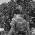 Leave It to Beaver (1957) - The Beaver