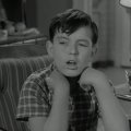 Leave It to Beaver (1957) - The Beaver