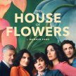 The House of Flowers (seriál 2018-2020) - Ernesto de la Mora