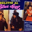 Delitto al Blue Gay (1984)