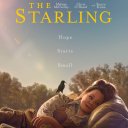 The Starling (2021) - Lilly Maynard
