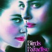 Birds of Paradise (2021) - Kate Sanders