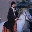 Údolie vlkov (2006) - Abdurrahman Halis Karuki (sheikh)