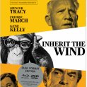 Kdo seje vítr (1960)