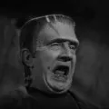 Frankenstein a Vlkodlak (1943) - Monster