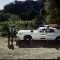 The Dukes of Hazzard (1979-1985) - Sheriff Rosco Coltrane