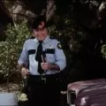 Dukes of Hazzard 1979 (1979-1985) - Sheriff Rosco Coltrane