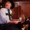 The Dukes of Hazzard (1979-1985) - Sheriff Rosco Coltrane