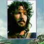 Richard Gere (David)