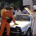Herbie jede rallye (1977) - Diane Darcy
