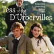 Tess z D'Urbervillů 1998 (1997) - Angel Clare