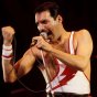 Freddie: poslední show (2021) - Self - Singer Queen