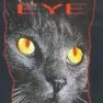 Kočičí oko (1985)