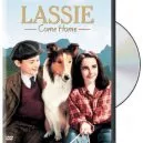 Lassie Come Home (1943) - Lassie
