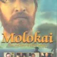 Molokai, Príbeh otca Damiána (1999) - Bishop Maigret