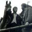 Tri gaštanové kone (1966)