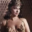 Gina Lollobrigida (Sheba)