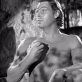 Tarzan Triumphs (1943) - Tarzan