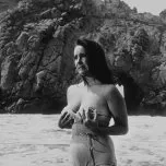 Písečný ptáček (1965)