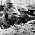 The Desert Rats (1953) - Capt. Currie
