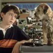 Pozor, dobrý pes! (2003) - Owen Baker