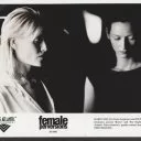 Zvrhlosti žen (1996) - Renee