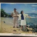 Donovanův útes (1963) - Ameilia Dedham